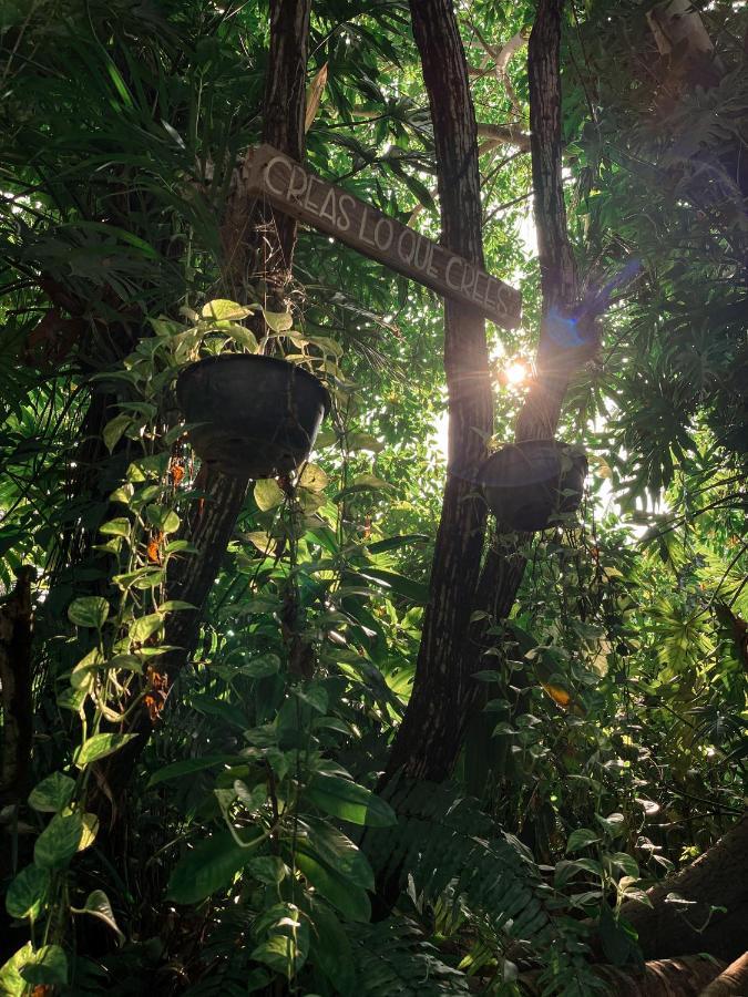 Jardin Secreto Centro Holistico Villa Acapulco Exteriör bild