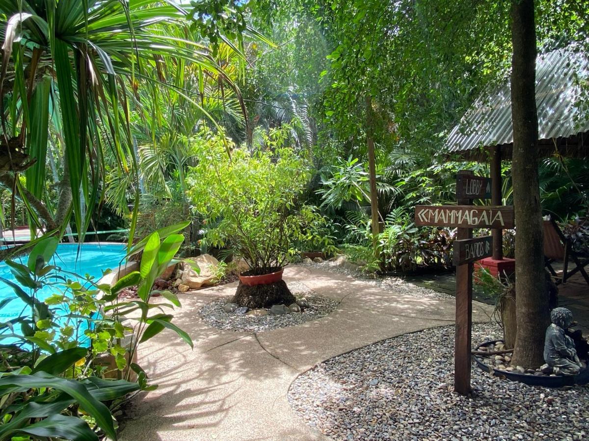 Jardin Secreto Centro Holistico Villa Acapulco Exteriör bild