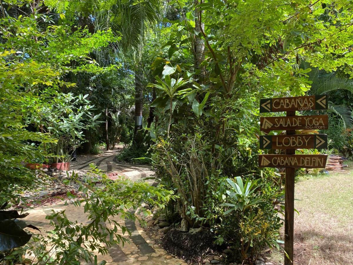 Jardin Secreto Centro Holistico Villa Acapulco Exteriör bild