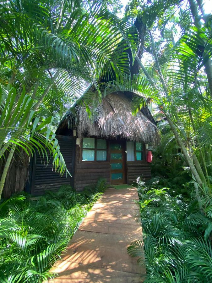 Jardin Secreto Centro Holistico Villa Acapulco Exteriör bild